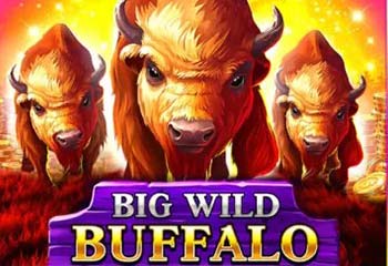 Big Wild Buffalo