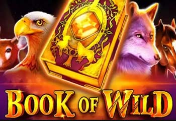 Book of Wild