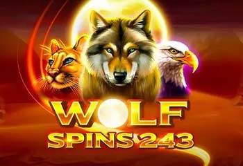 Wolf Spins 243